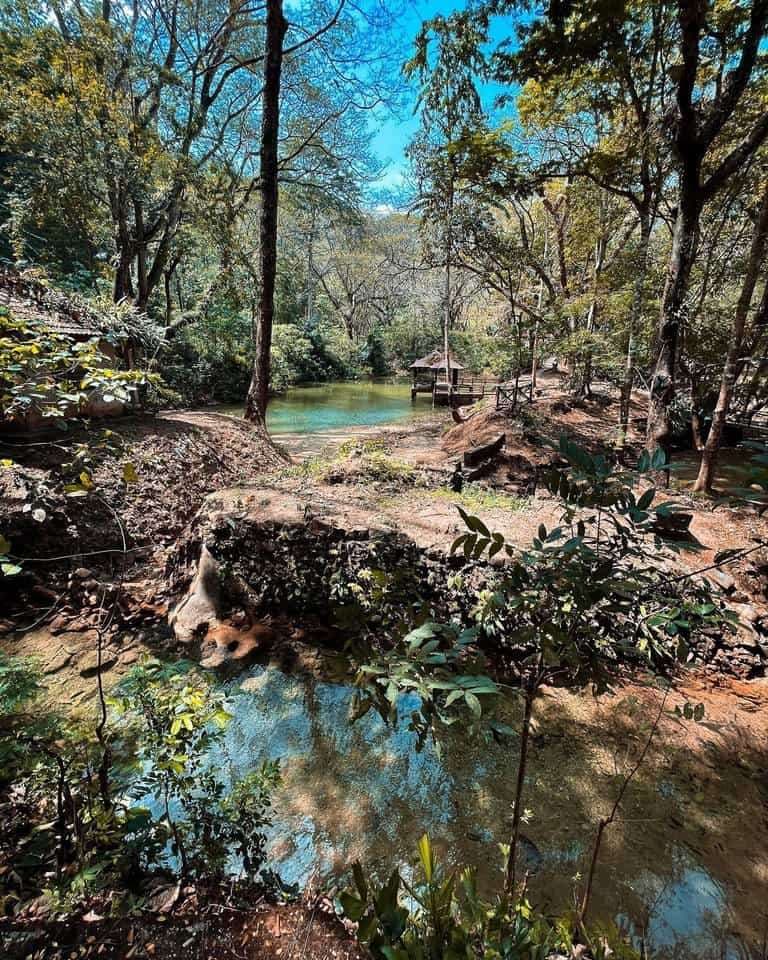 (3D2N) Unlock the Secrets of Perlis: Gua Kelam