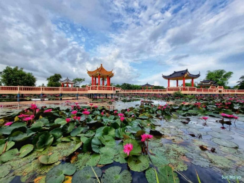 (3D2N) Unlock the Secrets of Perlis: Tasik Melati Recreational Park