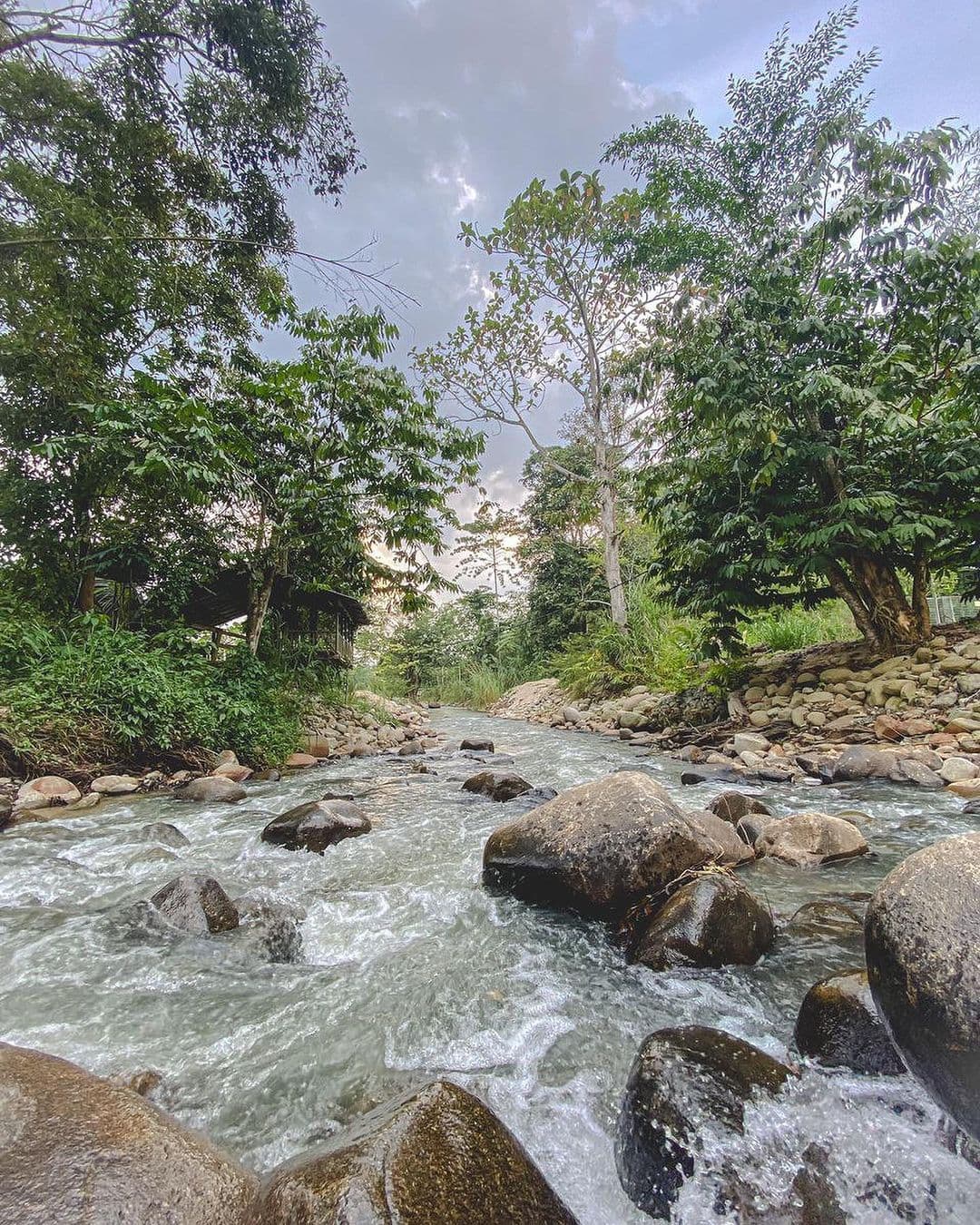 (2024 Team-Building Trend) 6 Best Locations in Malaysia That Companies Love: Janda Baik, Pahang