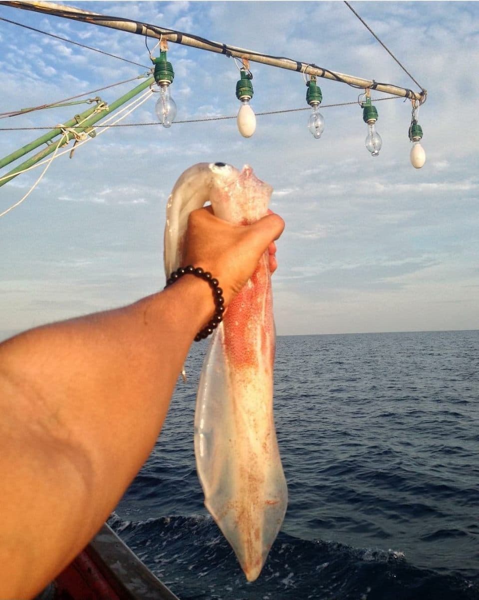 Team Building Activities From All Malaysian States: Squid Jigging