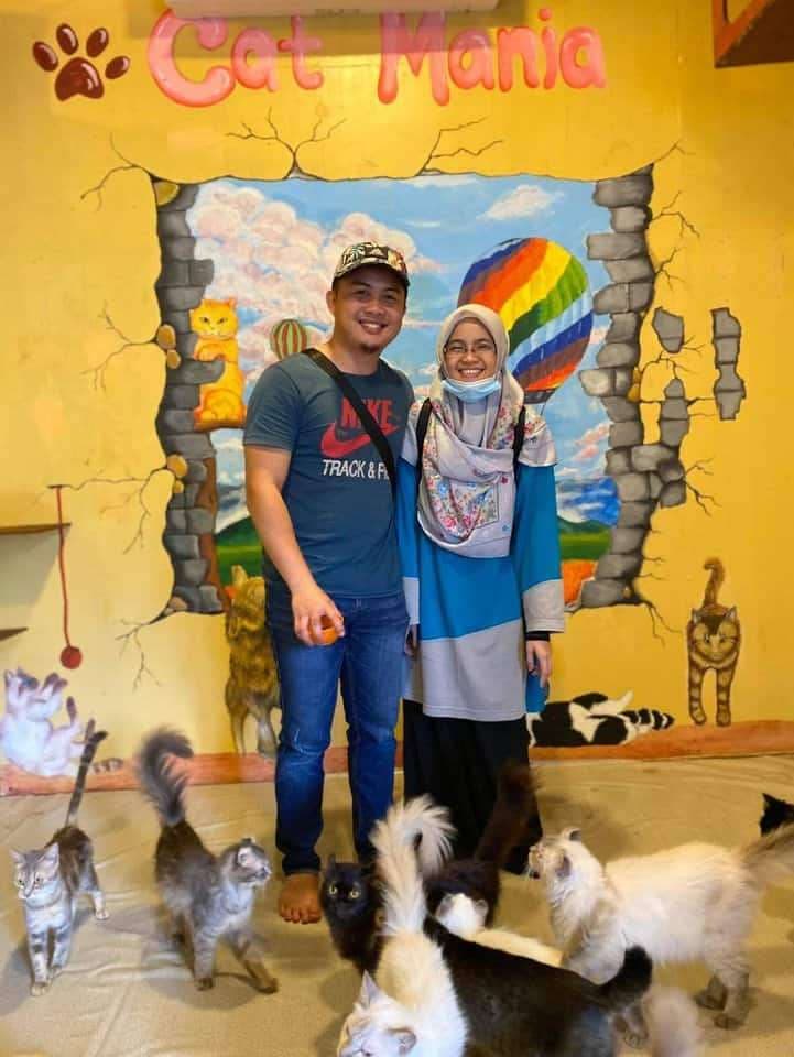 (Sabah) 3 Day 2 Night Kundasang Itinerary: Cat Mania