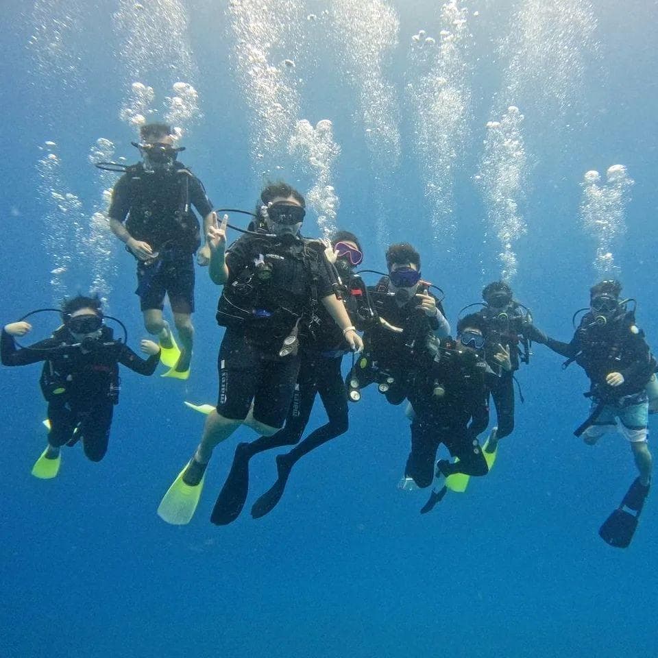9 Islands for Corporate Retreats: Redang Island Diving