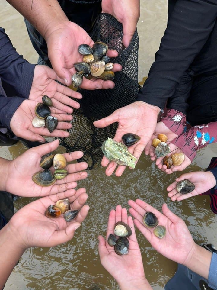 Team Building Activities From All Malaysian States: Clam Picking
