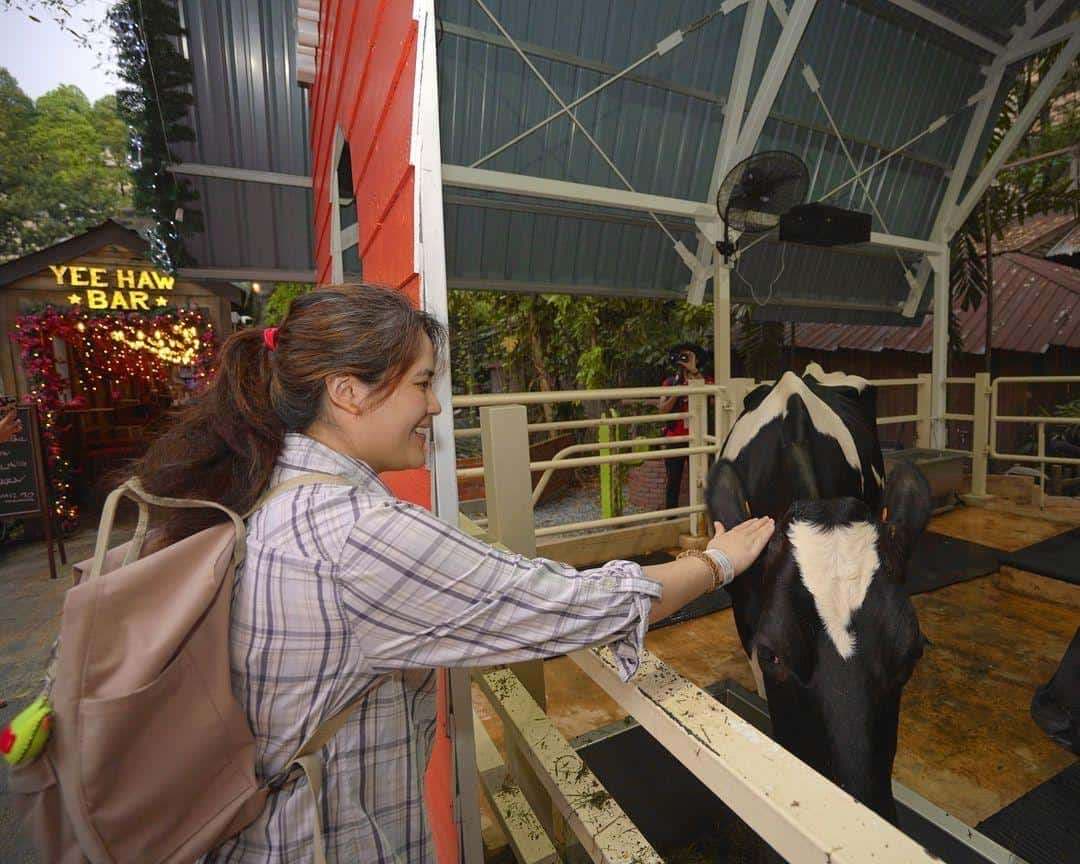 (3D2N) Team Building at Sunway Lagoon: Night Park