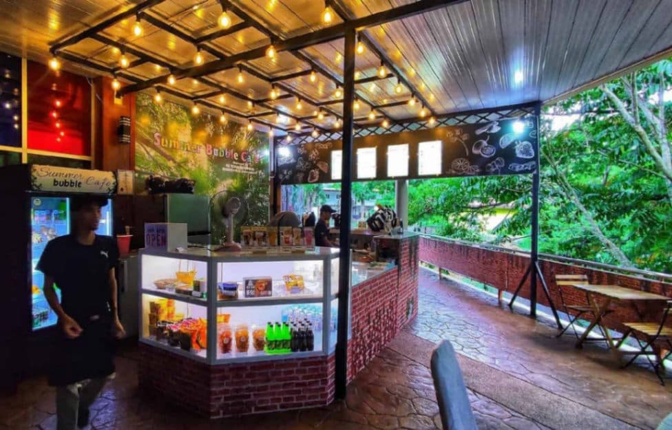 (3D2N) Unlock the Secrets of Perlis: Summer Bubble Cafe