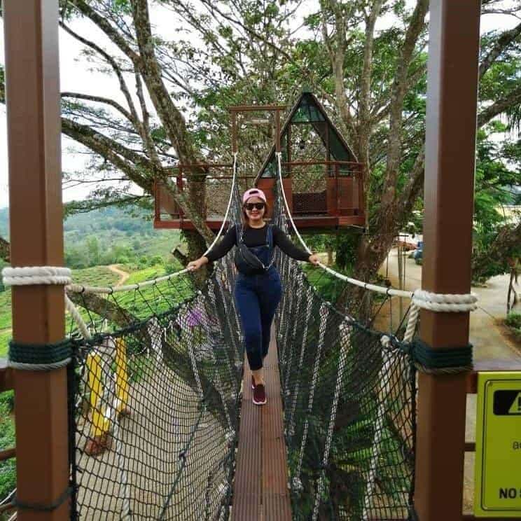 (Sabah) 3 Day 2 Night Kundasang Itinerary: Sabah Tea Farm