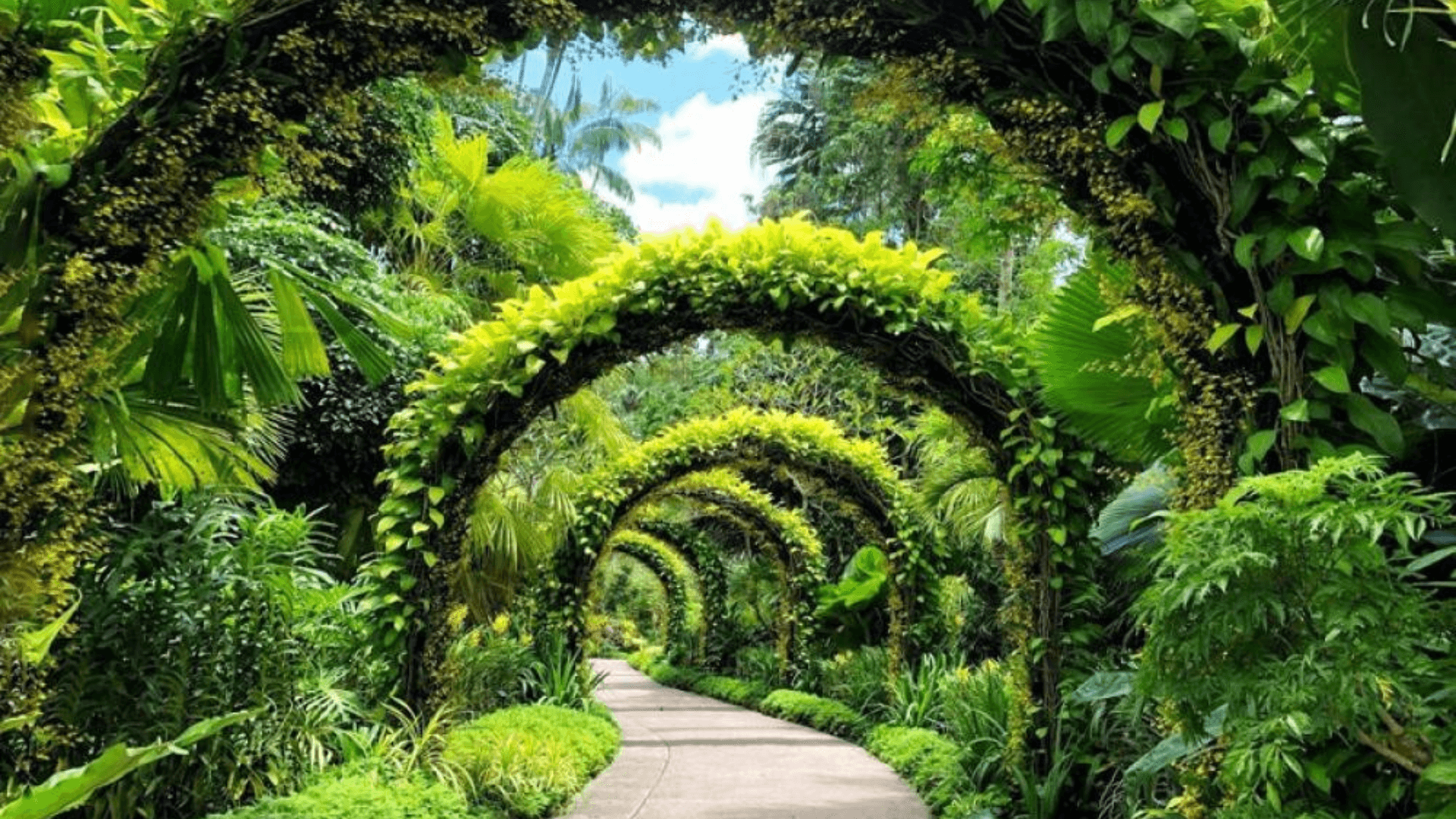 Singapore Botanic Gardens
