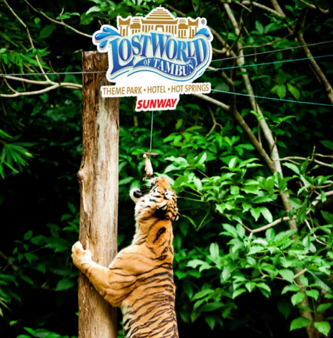 (2D1N) Team Building at Lost World Of Tambun