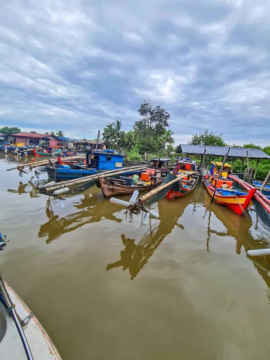 The long poles that are used to catch shrimps