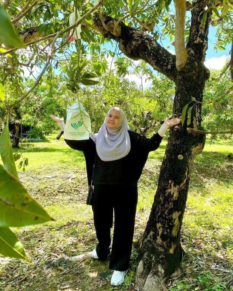 (3D2N) Unlock the Secrets of Perlis: Ladang Harumanis Bukit Bintang