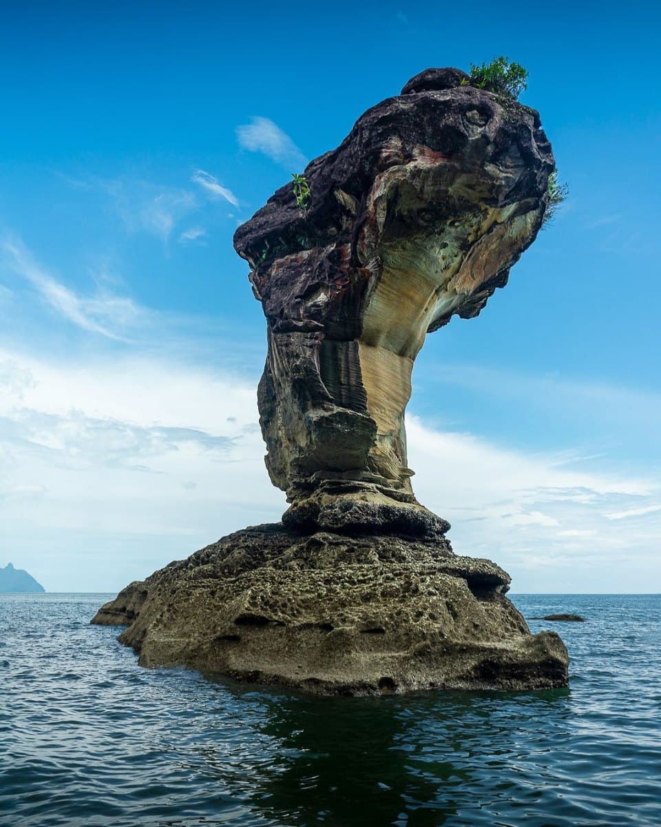 (Sarawak Escape) 4 Days 3 Nights Itinerary: Team Bonding -  Bako National Park