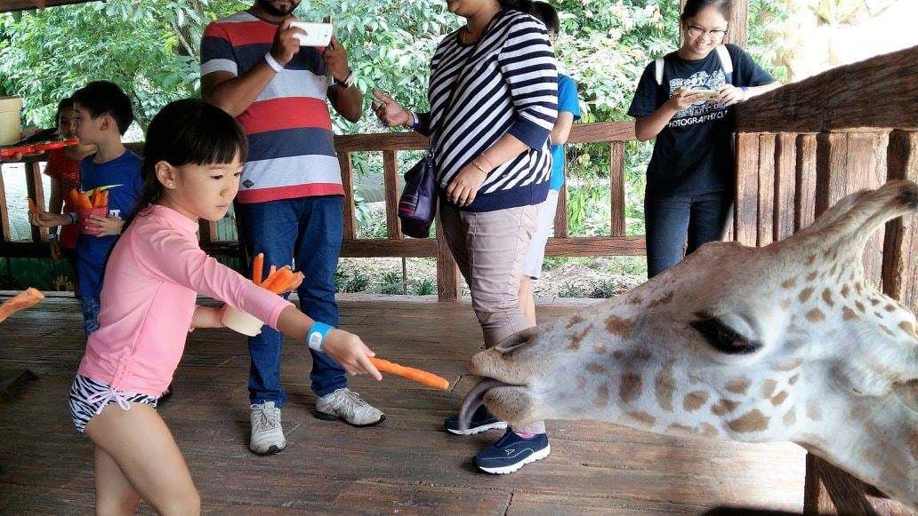 (2D1N) Team Building at Lost World Of Tambun
