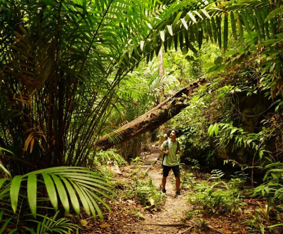 (Sarawak Escape) 4 Days 3 Nights Itinerary: Team Bonding -  Bako National Park