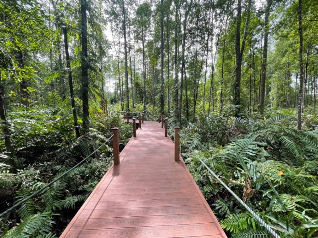 An Instagram-worthy walkway!