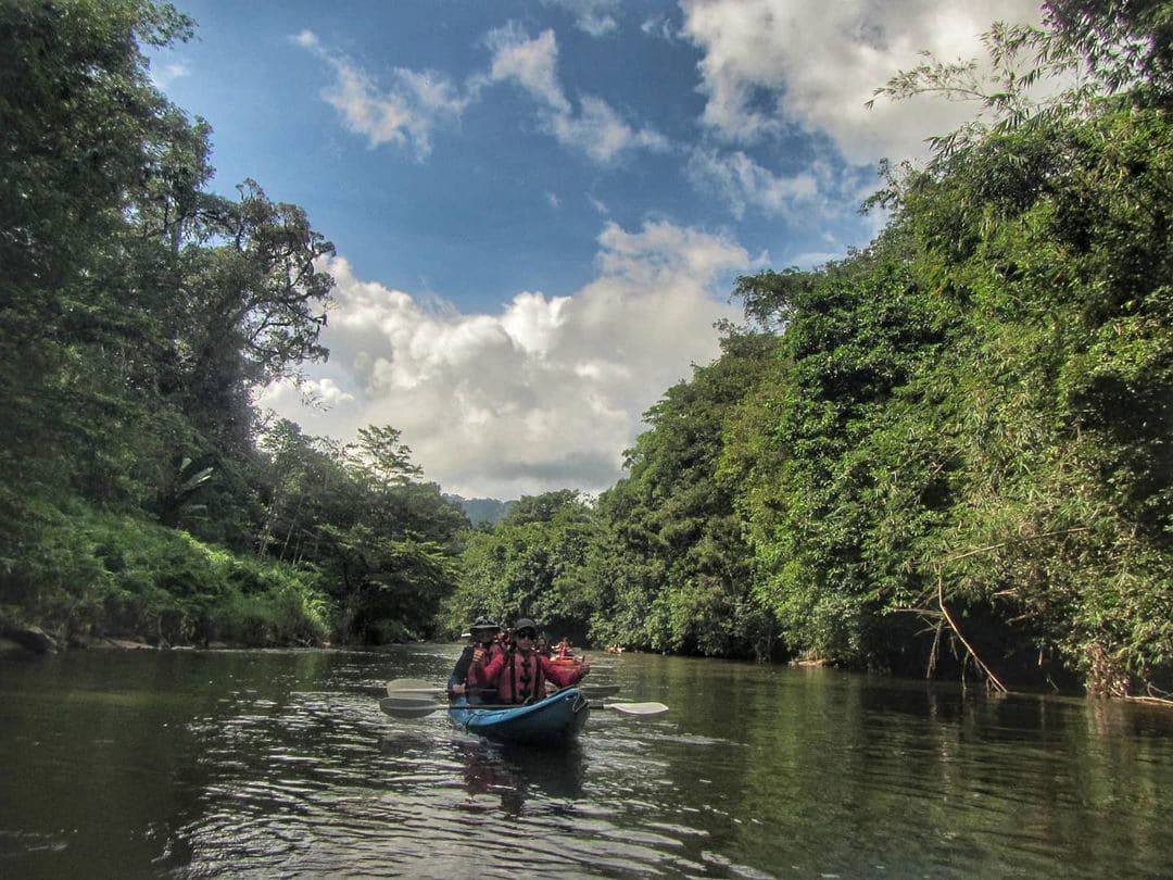 Team Building Activities From All Malaysian States: Semadang Kayak