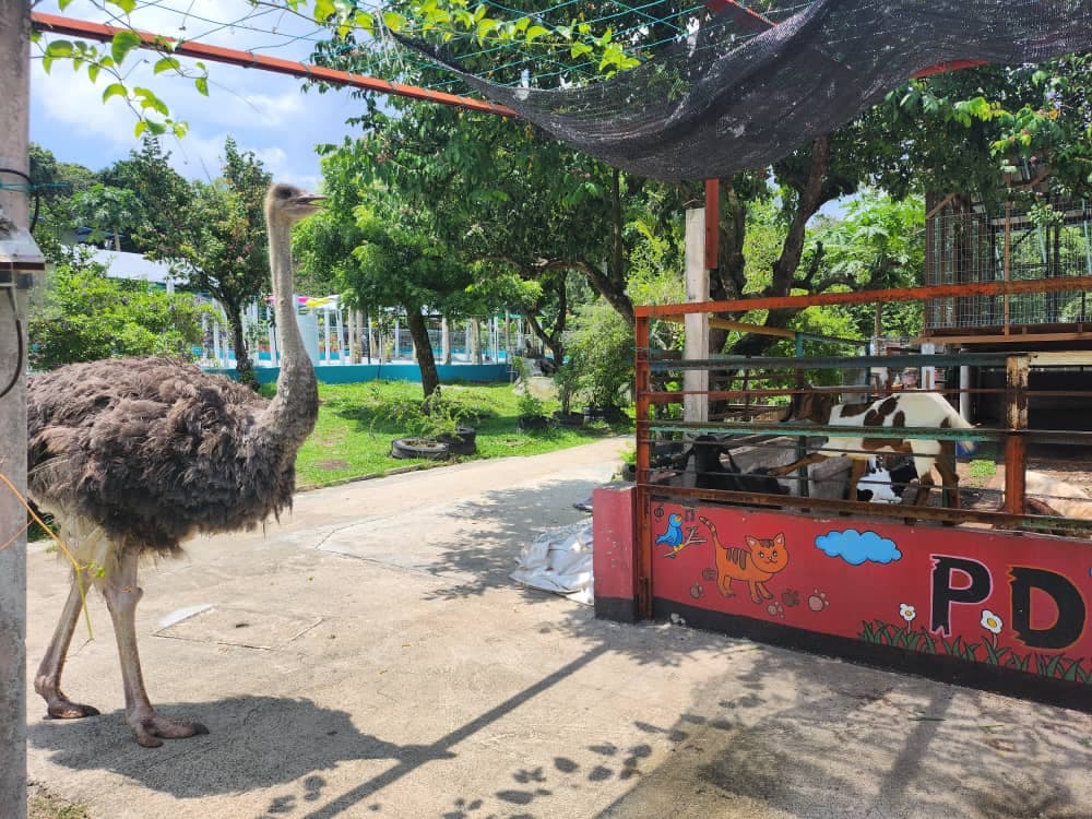 (2024 Team-Building Trend) 6 Best Locations in Malaysia That Companies Love: Port Dickson
