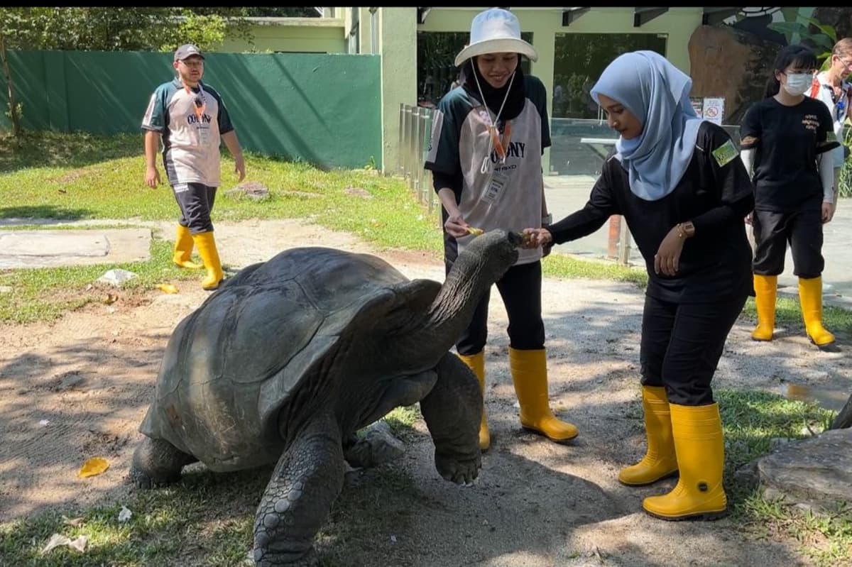 Team Bonding in the Heart of KL: Explore 10 Thrilling Outdoor Activities - Zoo Negara