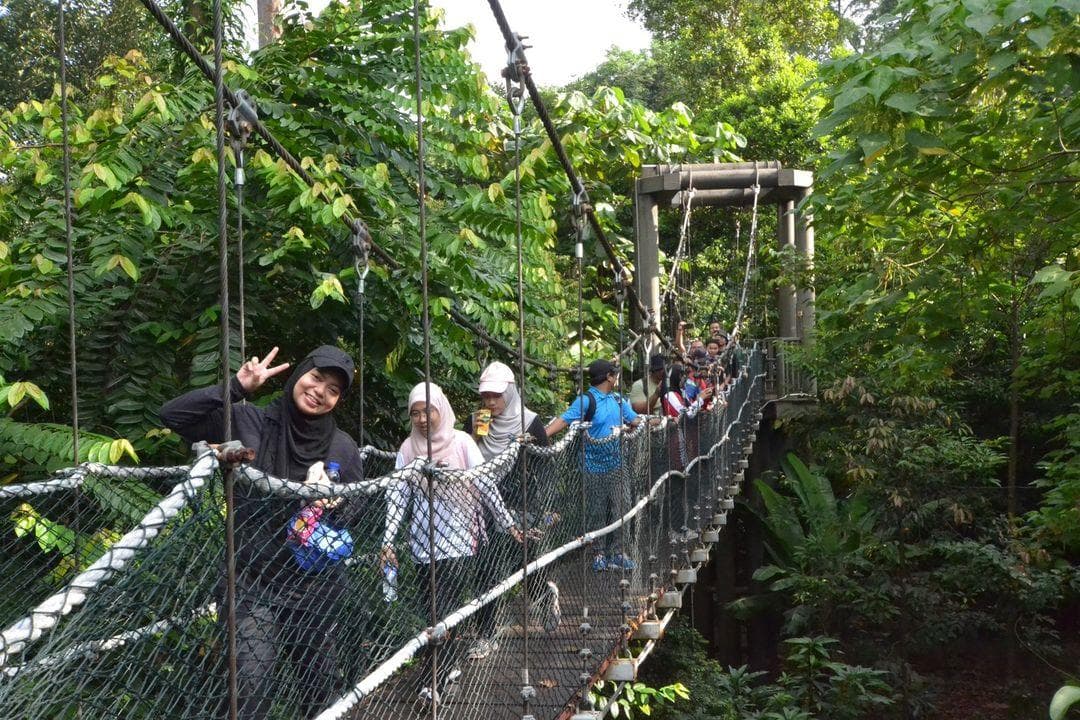 Team Bonding in the Heart of KL: Explore 10 Thrilling Outdoor Activities - Taman Eko-Rimba Kuala Lumpur (TERKL)
