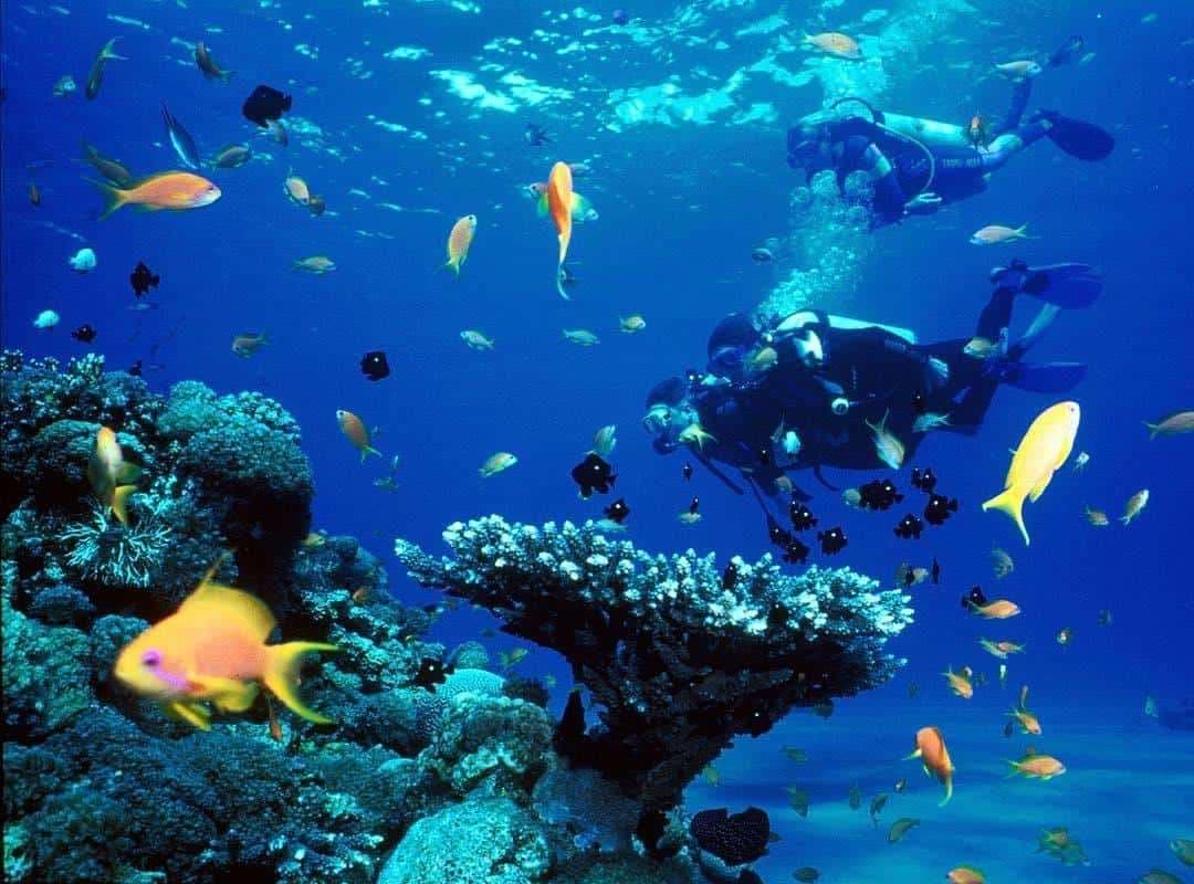 Island Hopping: Pulau Redang, Pulau Perhentian & Pulau Lang Tengah