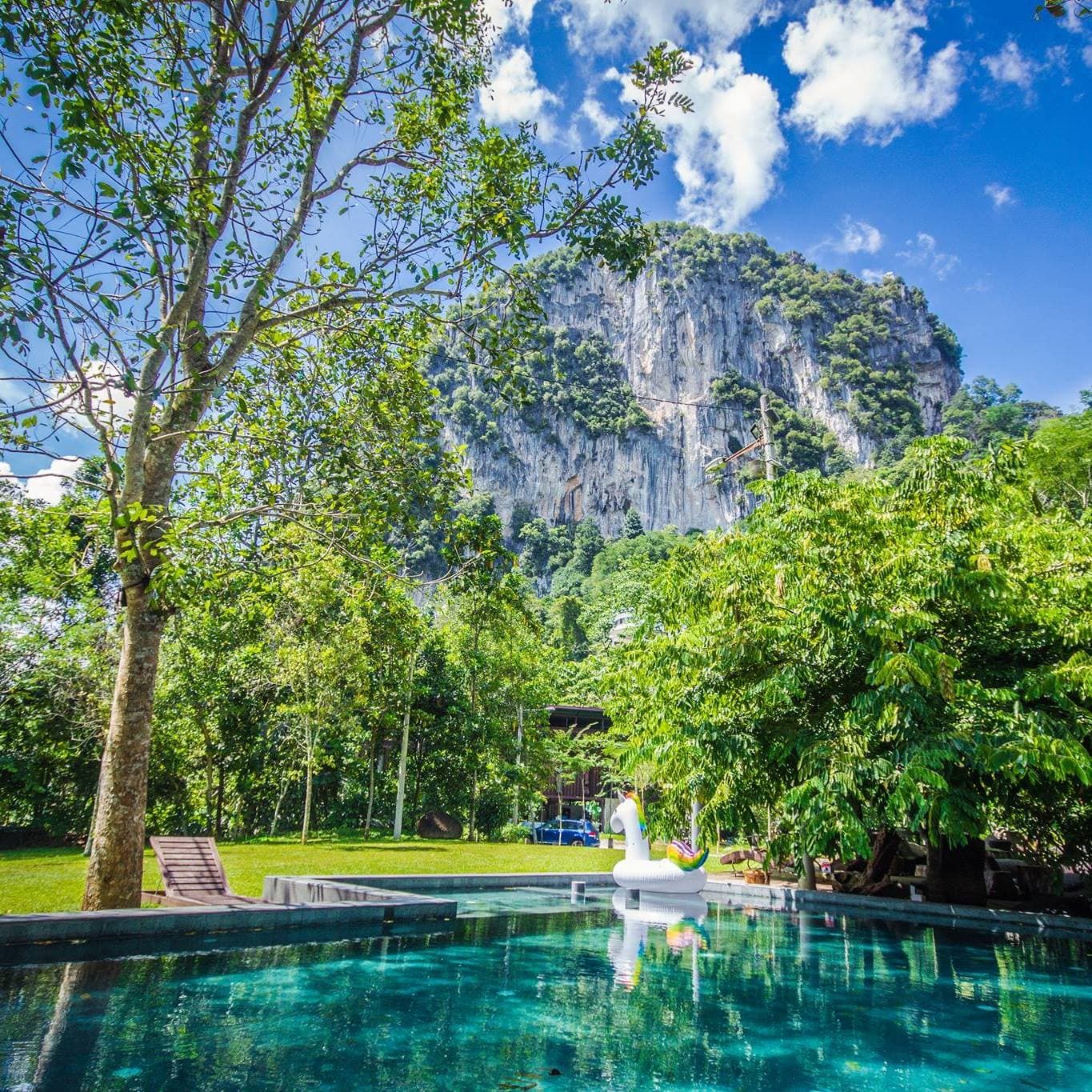 Selangor's 13 Highly-Rated Retreat Destinations for Corporate Teams: Templer Park Rainforest Retreat