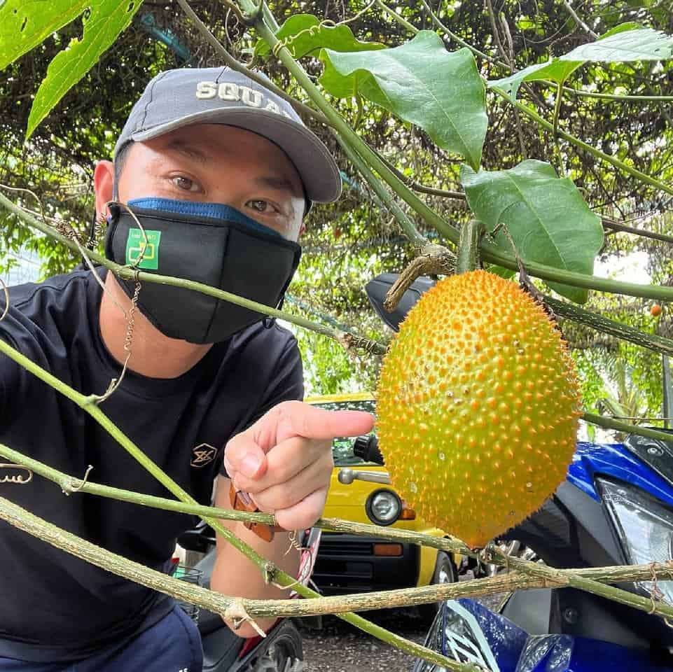 (3D2N) Unlock the Secrets of Perlis: Superfruits Valley