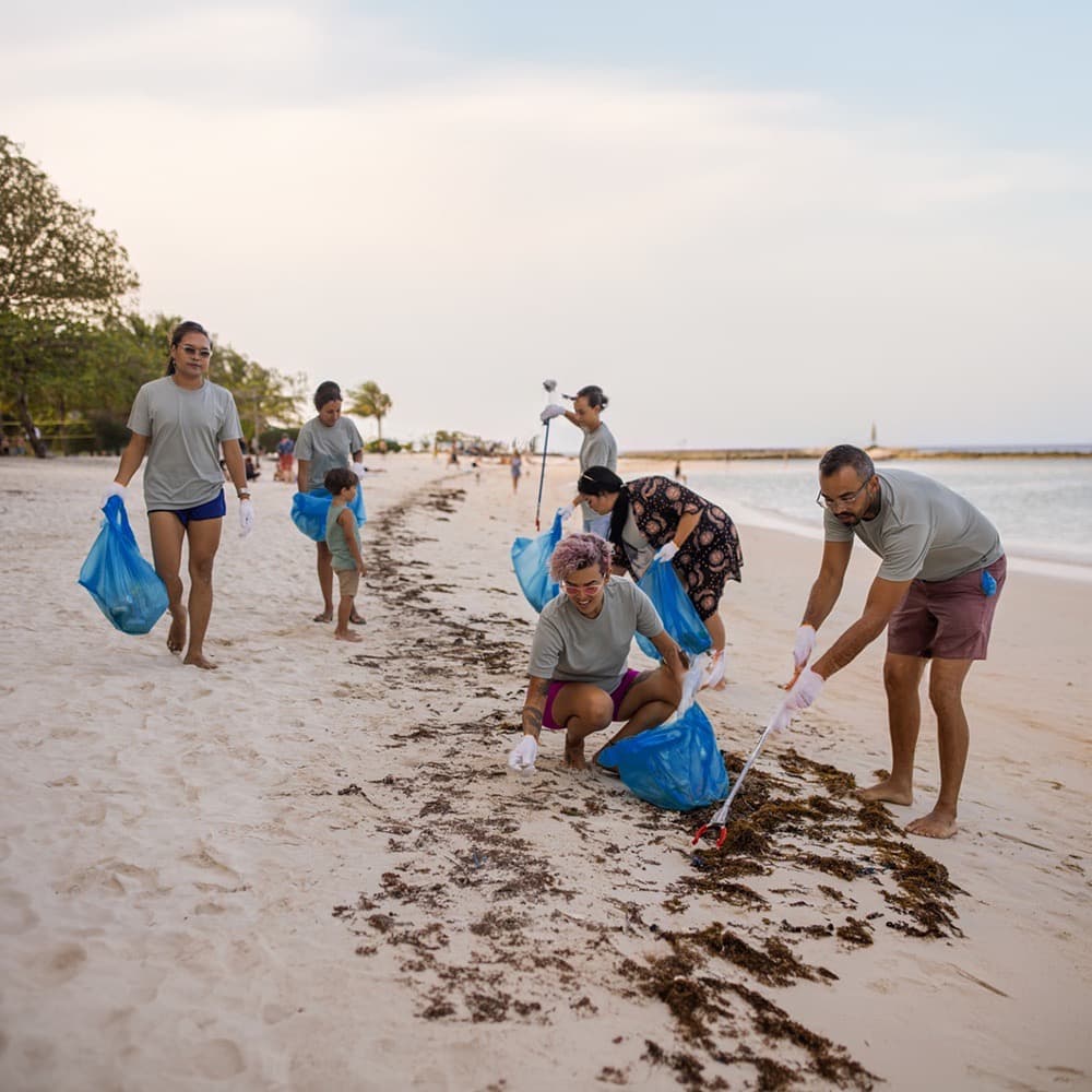 Eco-friendly Team Building