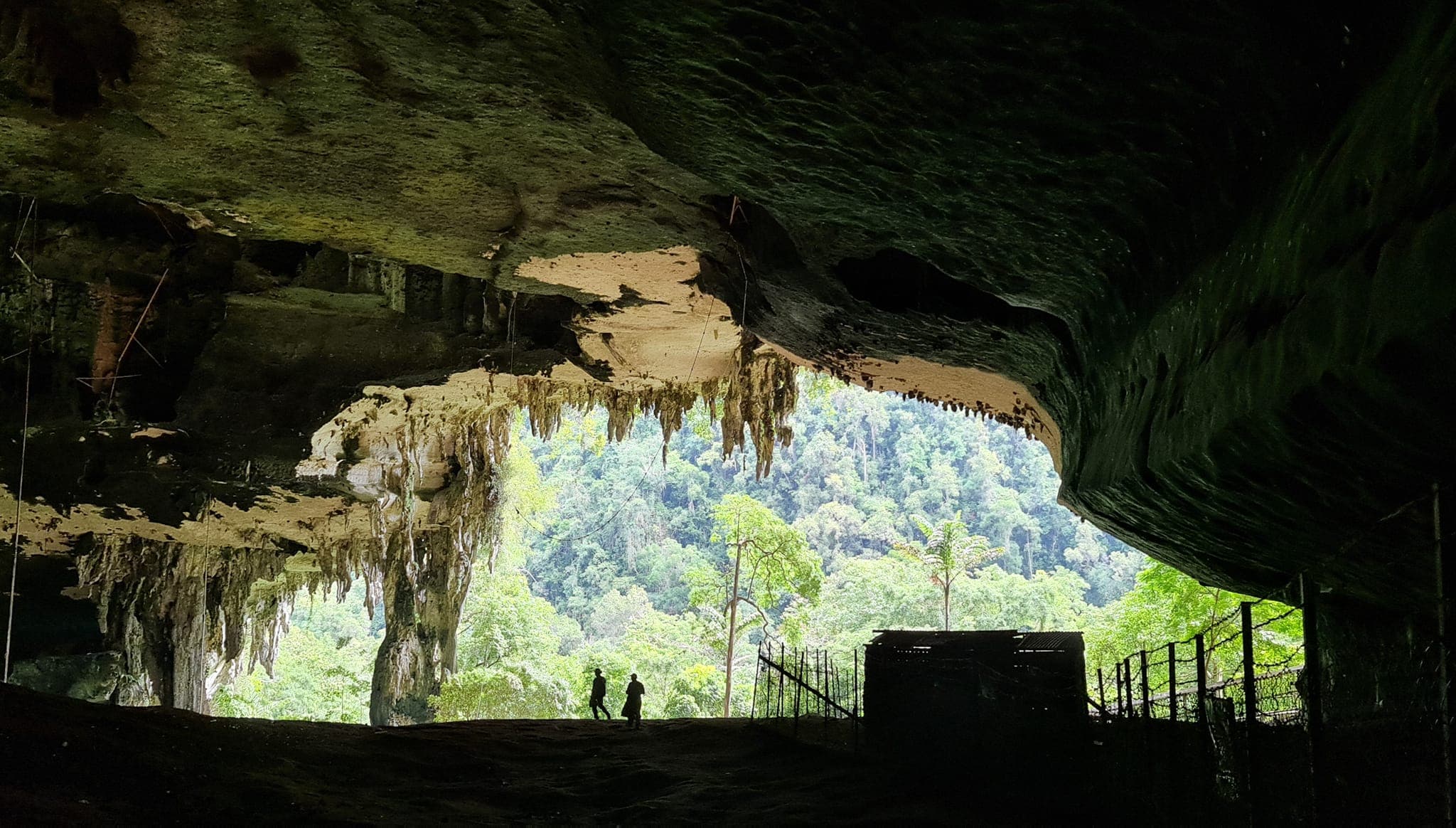 Niah Cave