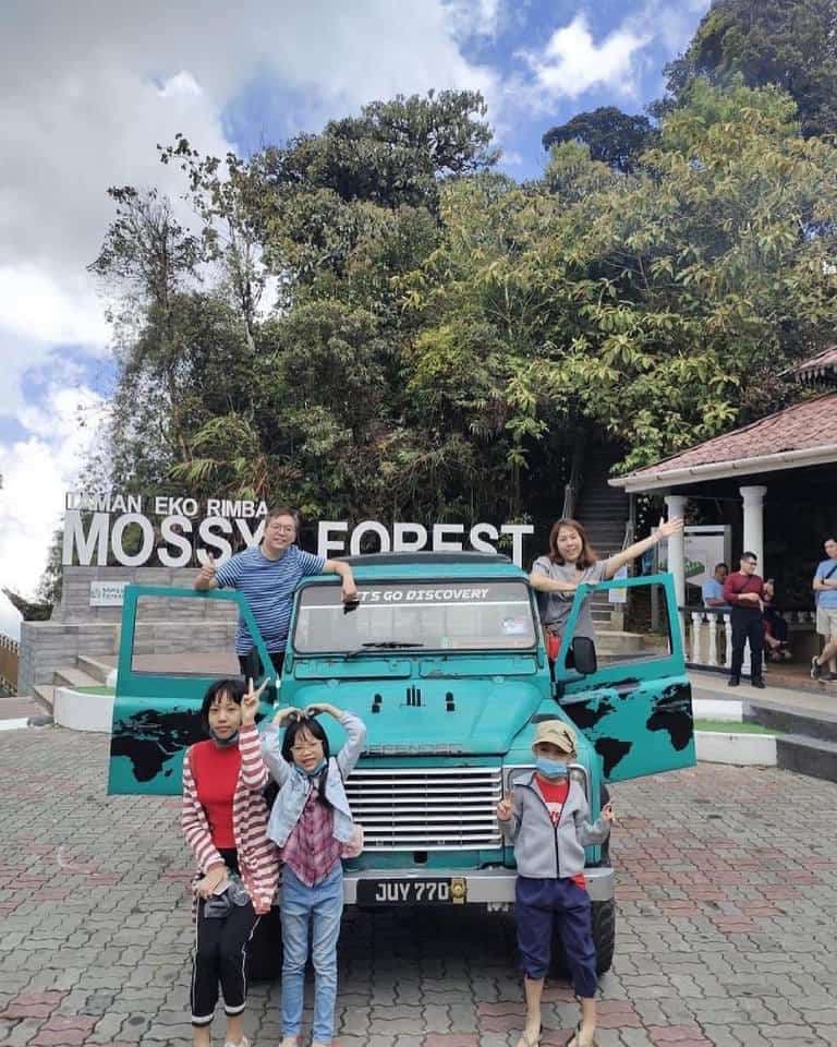 (Weekend Trip) 2D1N Cameron Highlands Itinerary - Mossy Forest