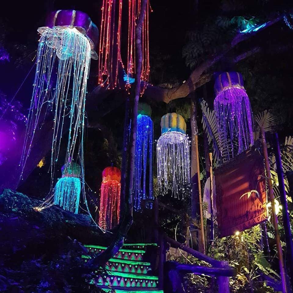 (3D2N Itinerary) IJM Staff Team Bonding - Luminous Forest