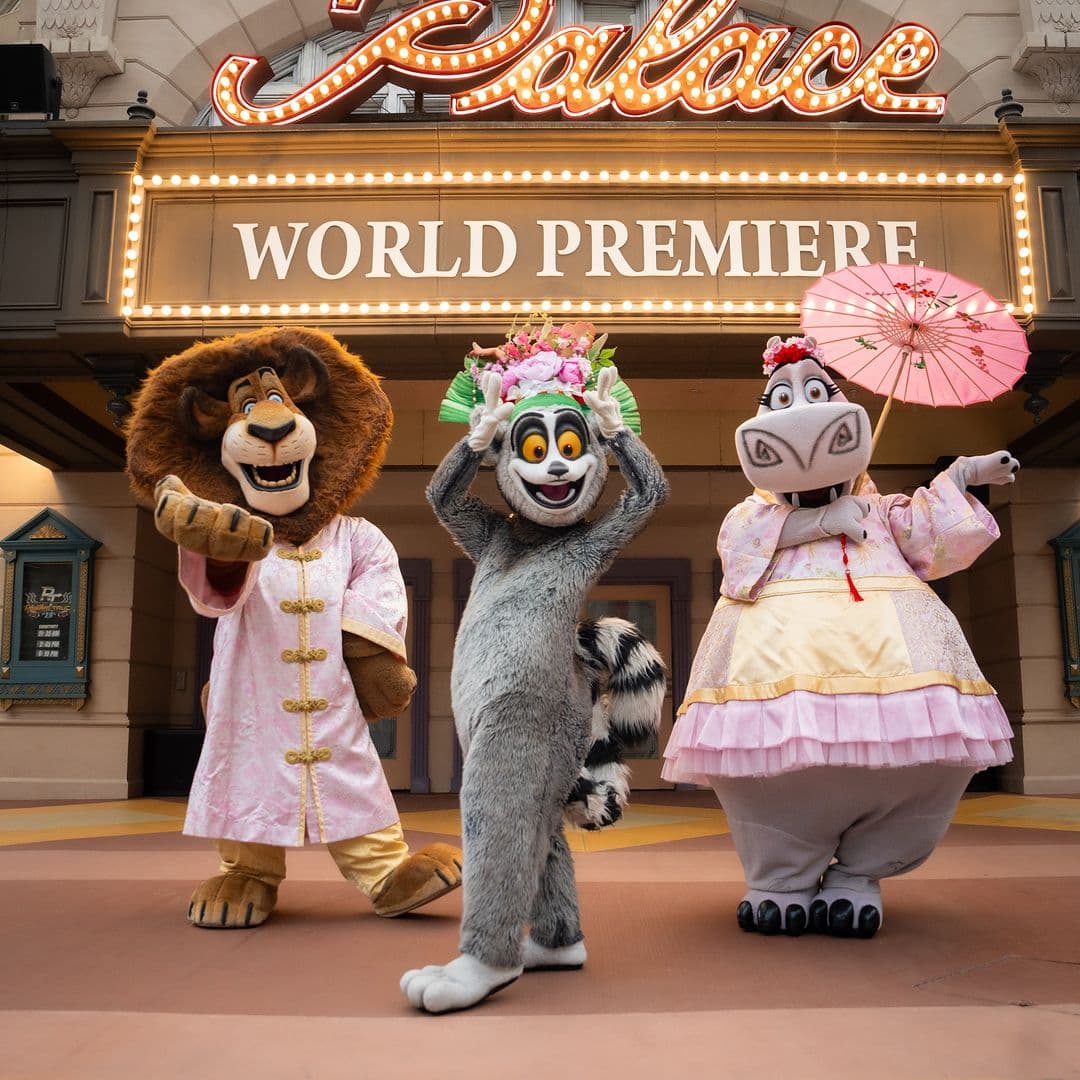 (Work Hard, Play Lavishly) 11 Must-Try Luxury Team Outings in Singapore : Universal Studios Singapore