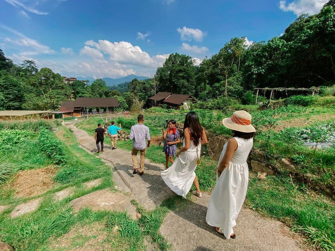 Spice Up Team Spirit: 9 Best F&B Companies Team Building Activities and Locations - A Little Farm On The Hill