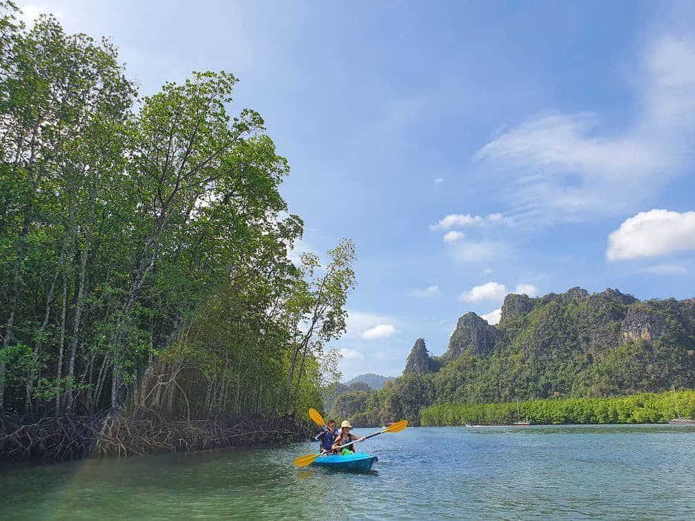 Sustainability in Corporate Retreats: 7 Eco-Friendly Ideas - Langkawi Kayak