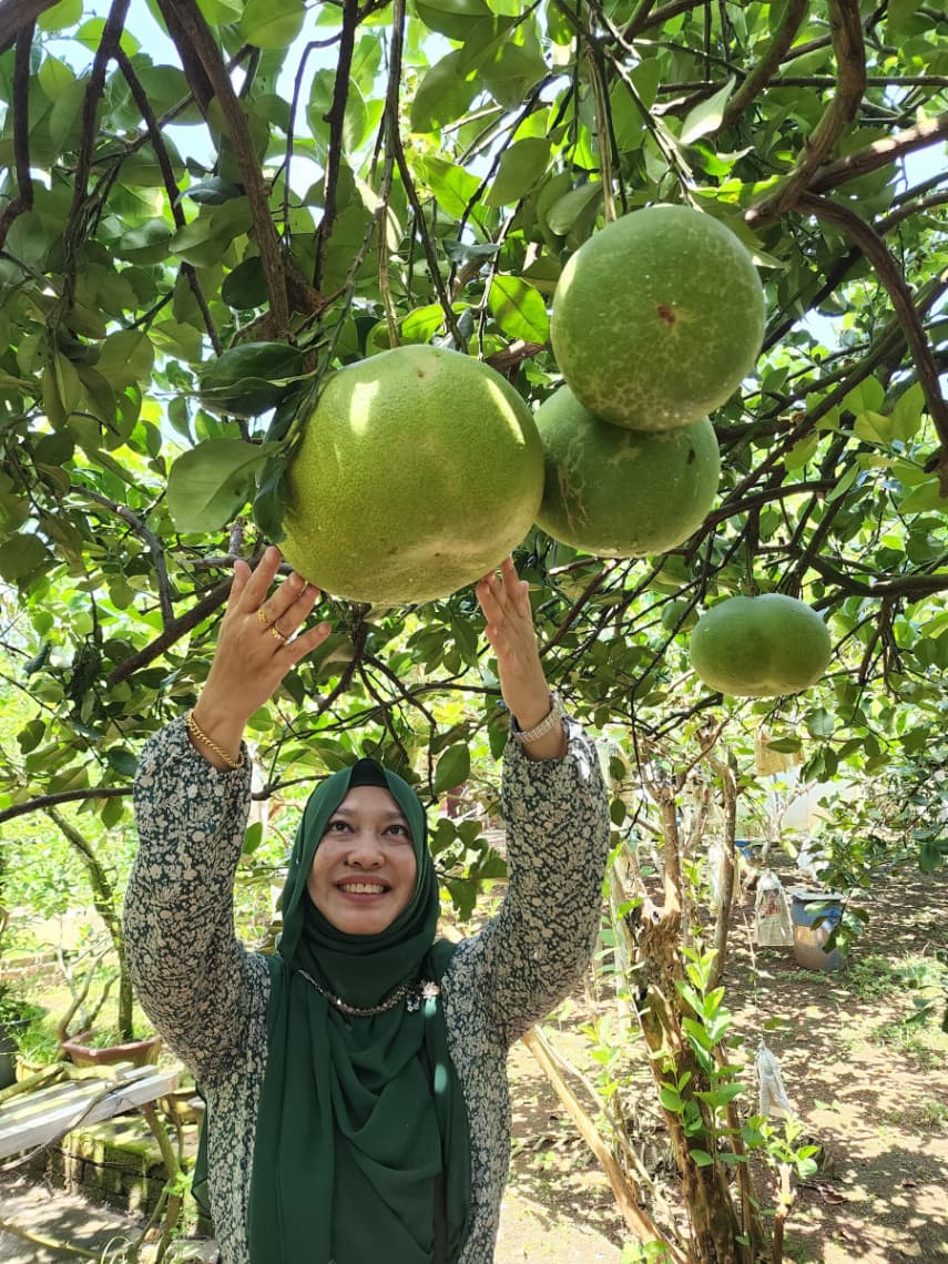 (Ipoh) The Best 2 Days 1 Night Team Building Itinerary for Nature Lovers: Tambun Pomelo GoChin Agro Farm
