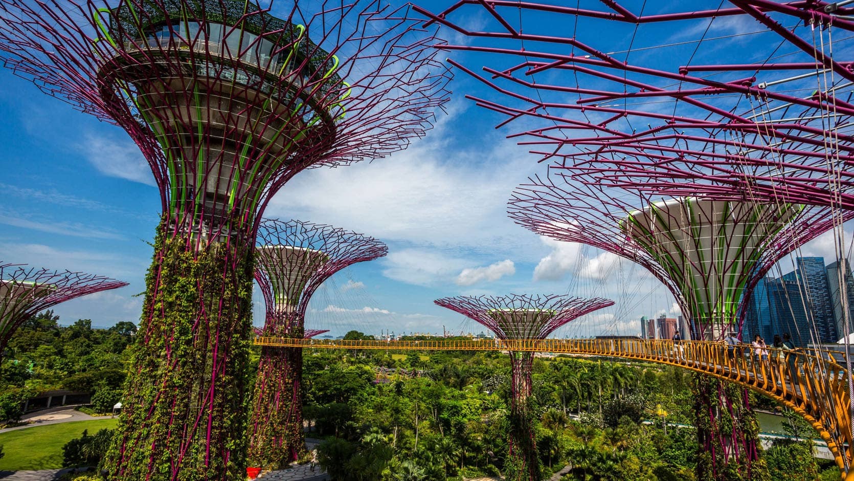 From Gardens to Skyline: A 3D2N Team Building Itinerary in SIngapore - Gardens by the Bay