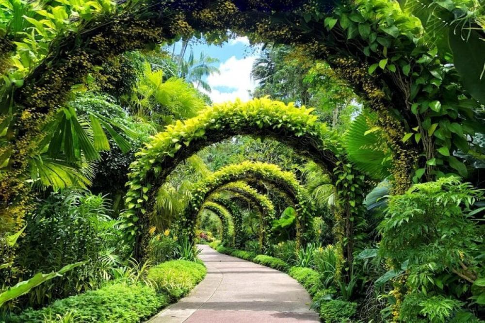 Thrifty Travels: 15 Budget-Friendly Company Outing Ideas in Singapore - Singapore Botanic Gardens
