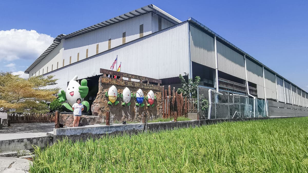 Industrial Adventures: 9 Eye-Opening Factory Tours in Malaysia - Sekinchan Rice Mill Factory Tour