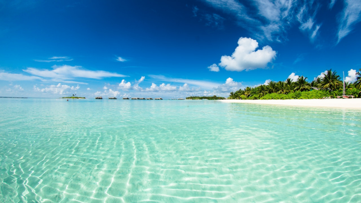 Beautiful beach with clear water and blue sky with white clouds
