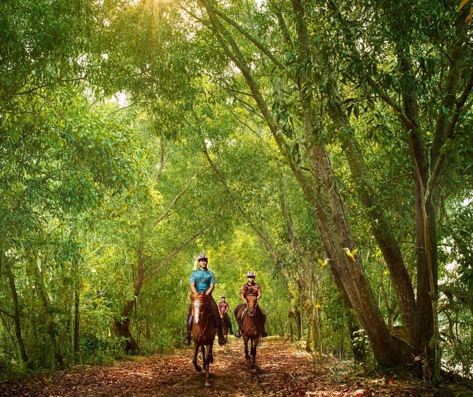 (Klang Valley) Top 11 Team-Building Activities for Senior Professionals: Paya Indah Discovery Wetlands