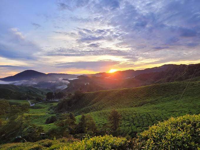 (Weekend Trip) 2D1N Cameron Highlands Itinerary - Sunrise