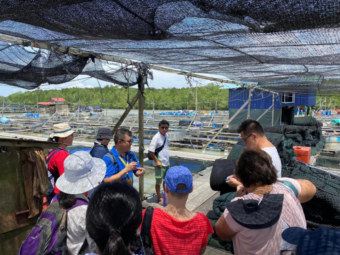 10 Nature-Inspired Activities in Malaysia for Stronger Connections: Kukup Fishing Village