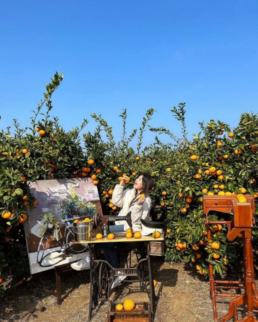 Epic Incentive Getaways - Jeju, South Korea