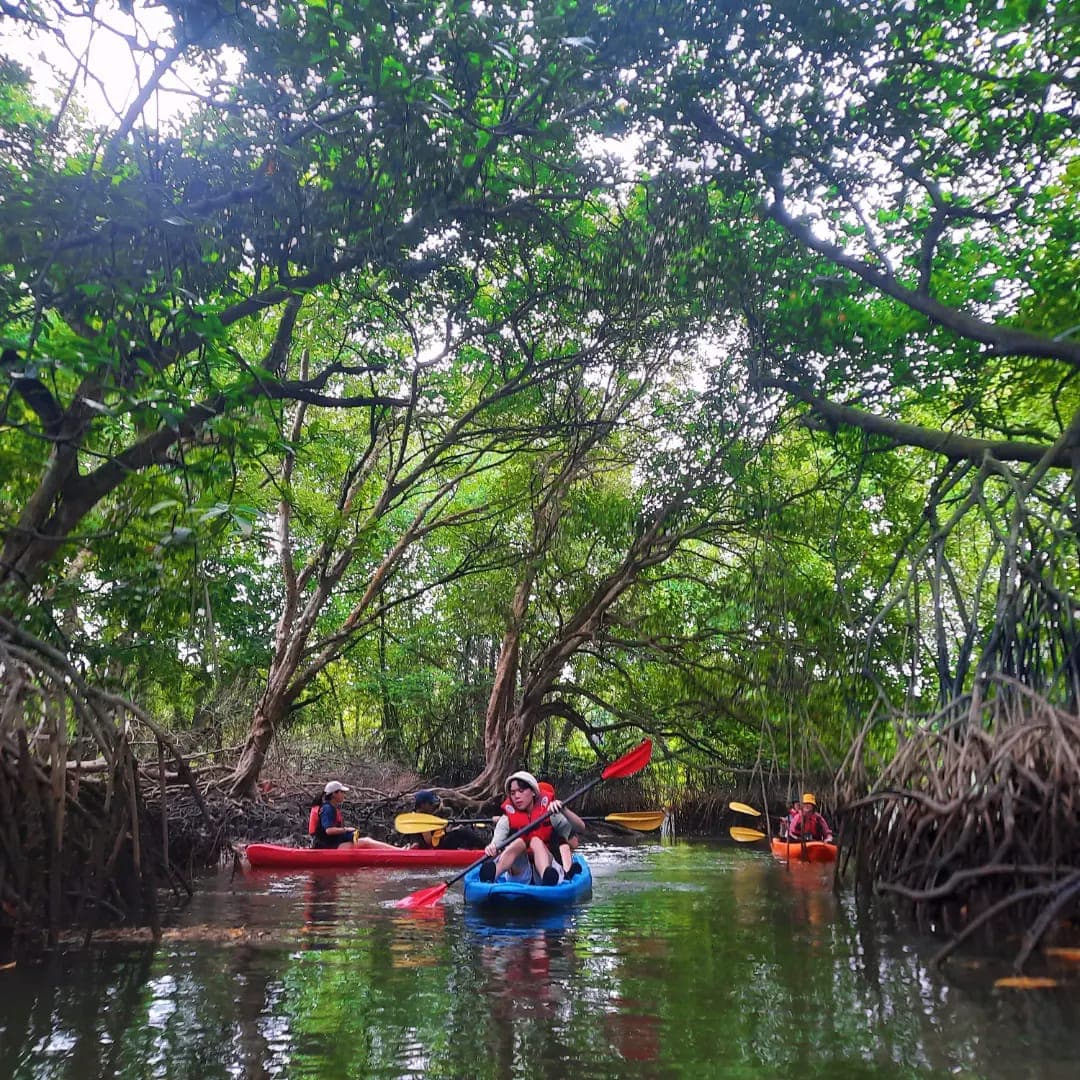Small Teams, Big Fun: Top 16 Team-Building Activities in KL & Selangor for Small Groups - Bagan Lalang (Mangrove Kayak)