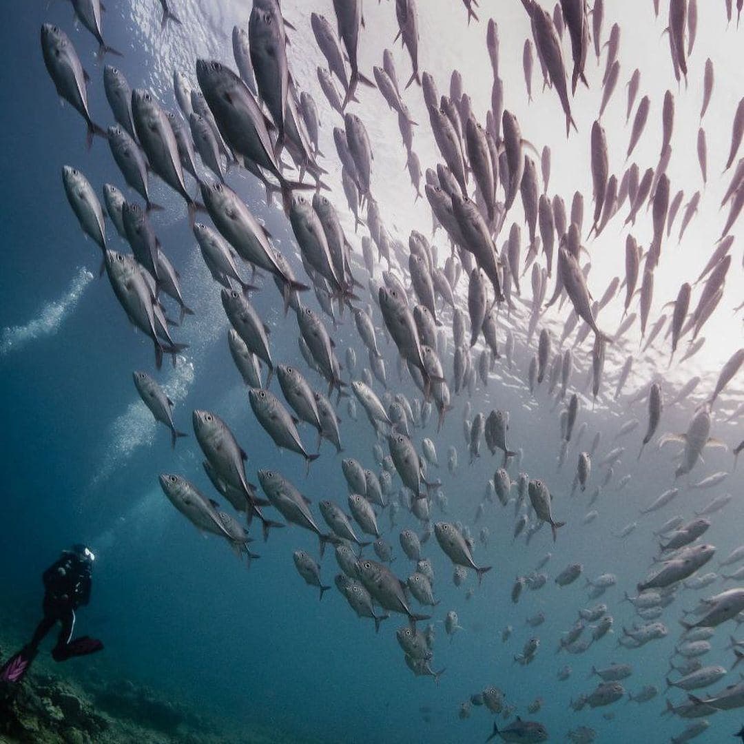 Island Vibes 9 Remarkable Team Building Activities to Try