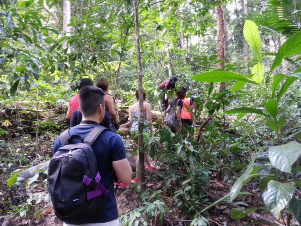 Island Vibes 9 Remarkable Team Building Activities to Try