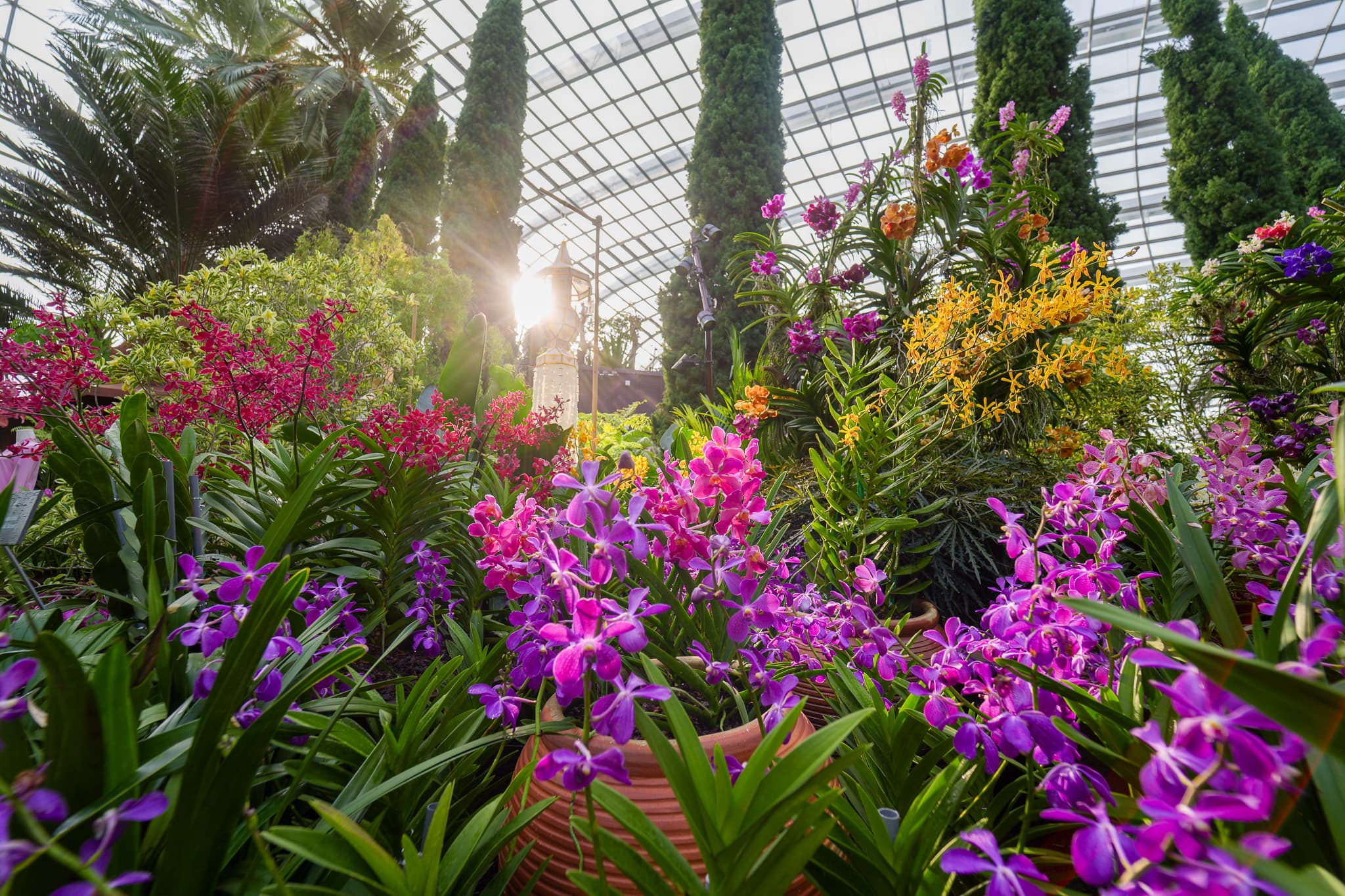 From Gardens to Skyline: A 3D2N Team Building Itinerary in SIngapore - Gardens by the Bay