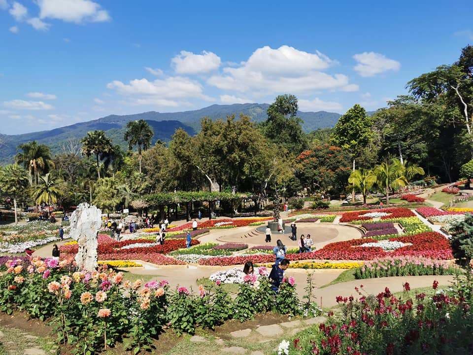 Corporate Retreat in Thailand: The Top 9 Provinces to Explore - Chiang Rai