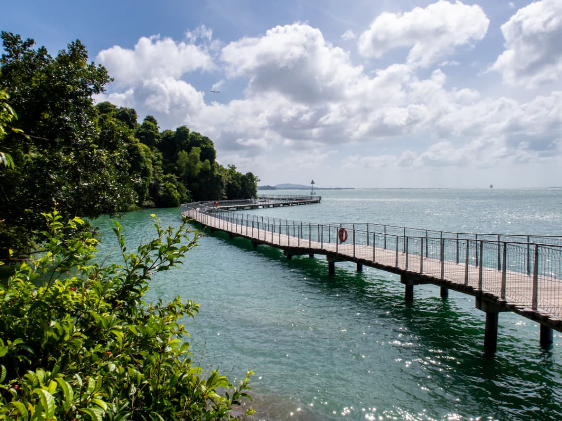 Thrifty Travels: 15 Budget-Friendly Company Outing Ideas in Singapore - Pulau Ubin