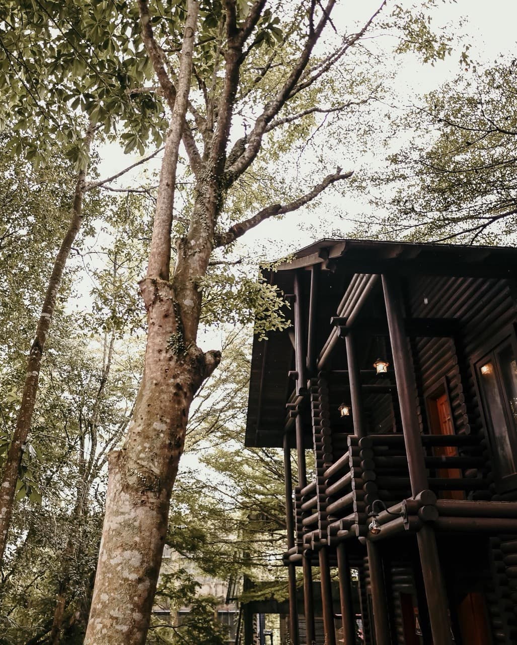 Villa Nadiah, Janda Baik