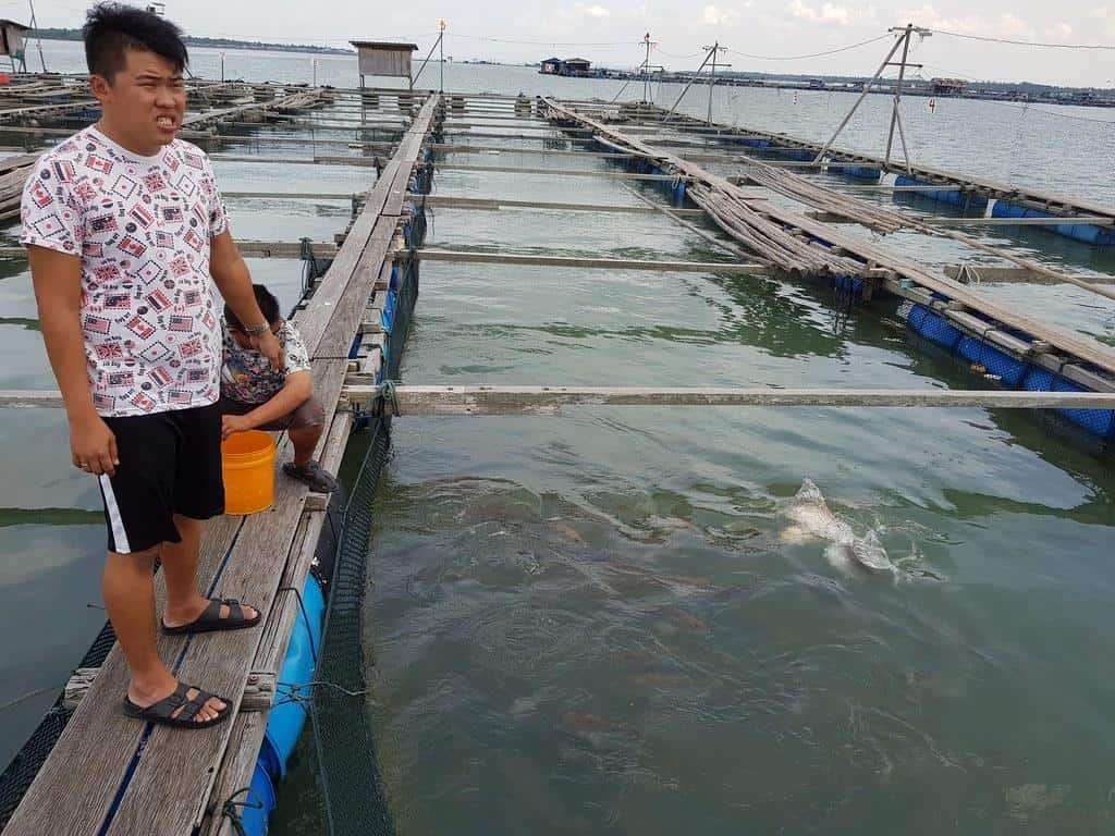 3D2N Klang Valley Team Building: Pulau Ketam