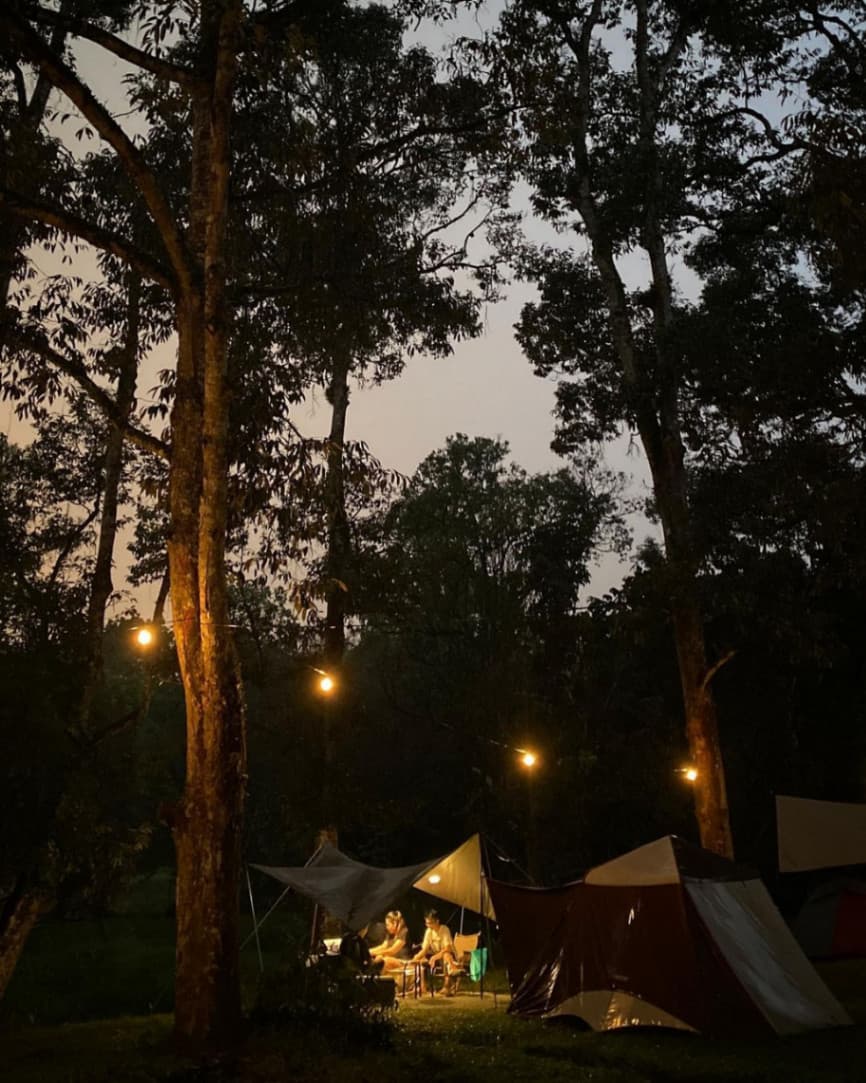 11 Campsites Tailored to Foster Team Building Triumphs in Malaysia: Hammocks By The River